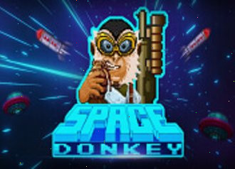 Space Donkey Spin City
